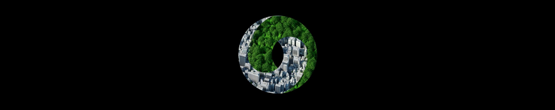 Carbon Market Model